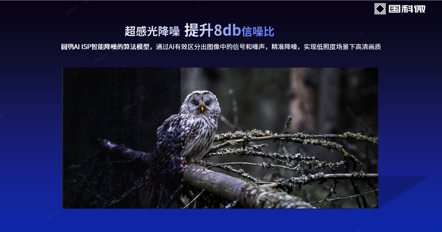 中国·必发集团(股份)有限公司-官方网站